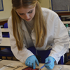 A Level Biology